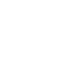 globe and shield icon